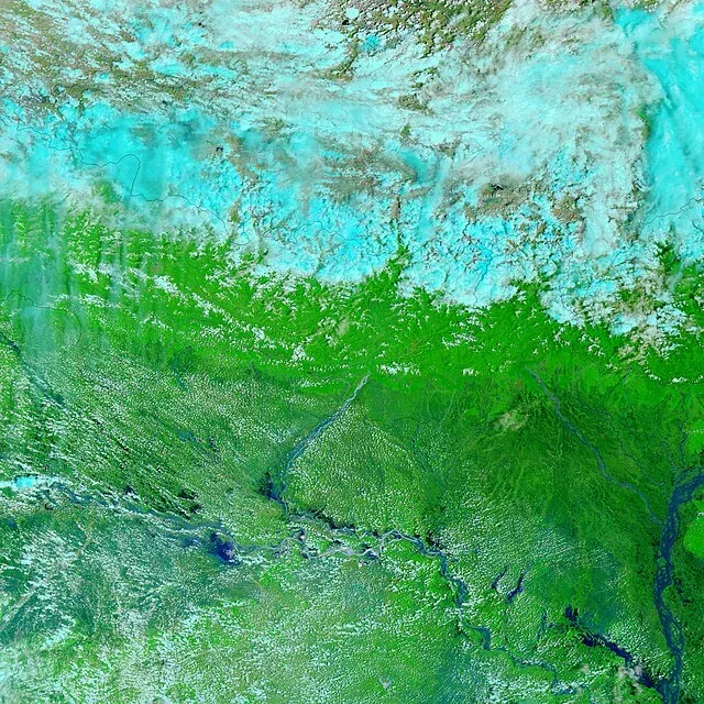 Satellite image showing flood patterns in Kosi-Gandak doab
